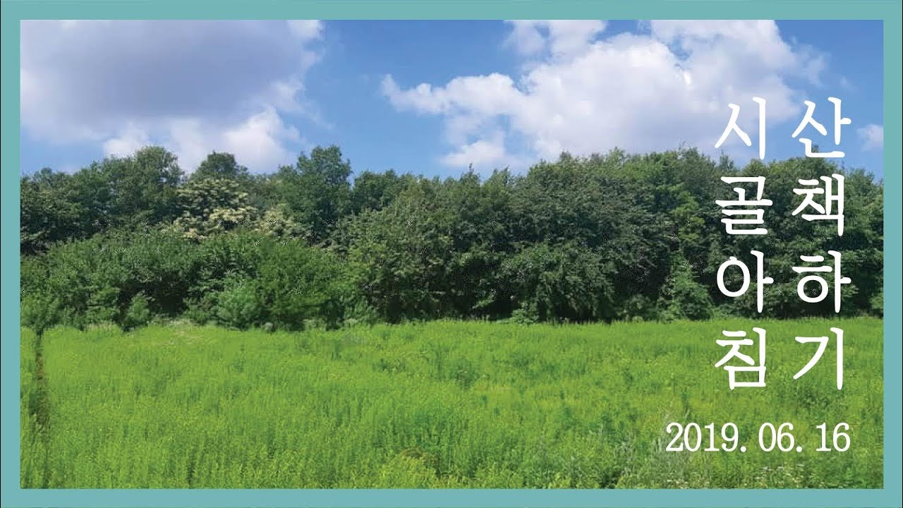 시골아침 산책하기 ( 바른농부 Vlog)
