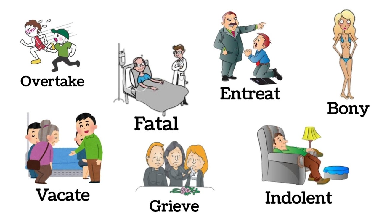 Common English Vocabulary and words | Vocabulary in English | Vocabulary with Examples
