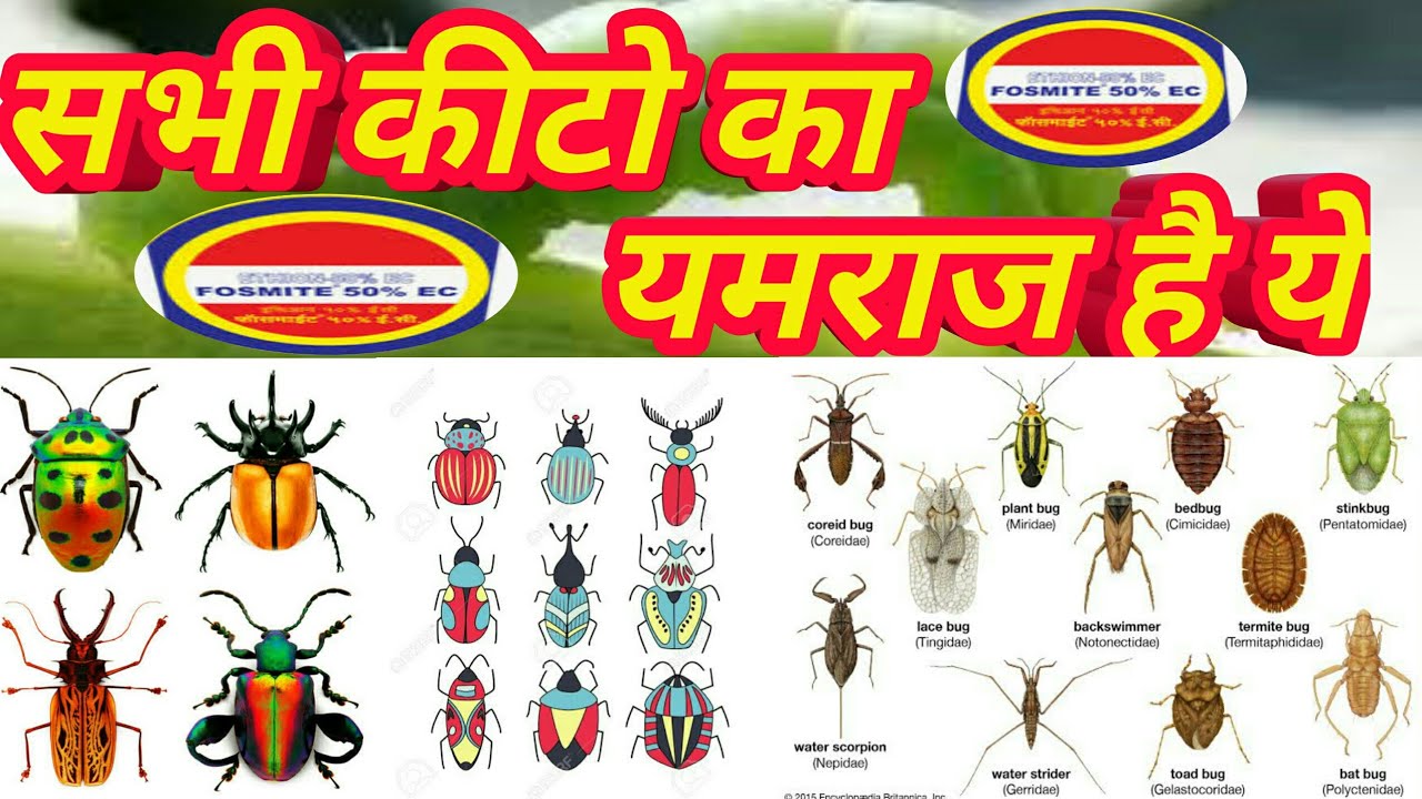 Fosmite ethion insecticide | Ethion 50%+fosmite 50% | PI Fosmite ethion price dose result hindi