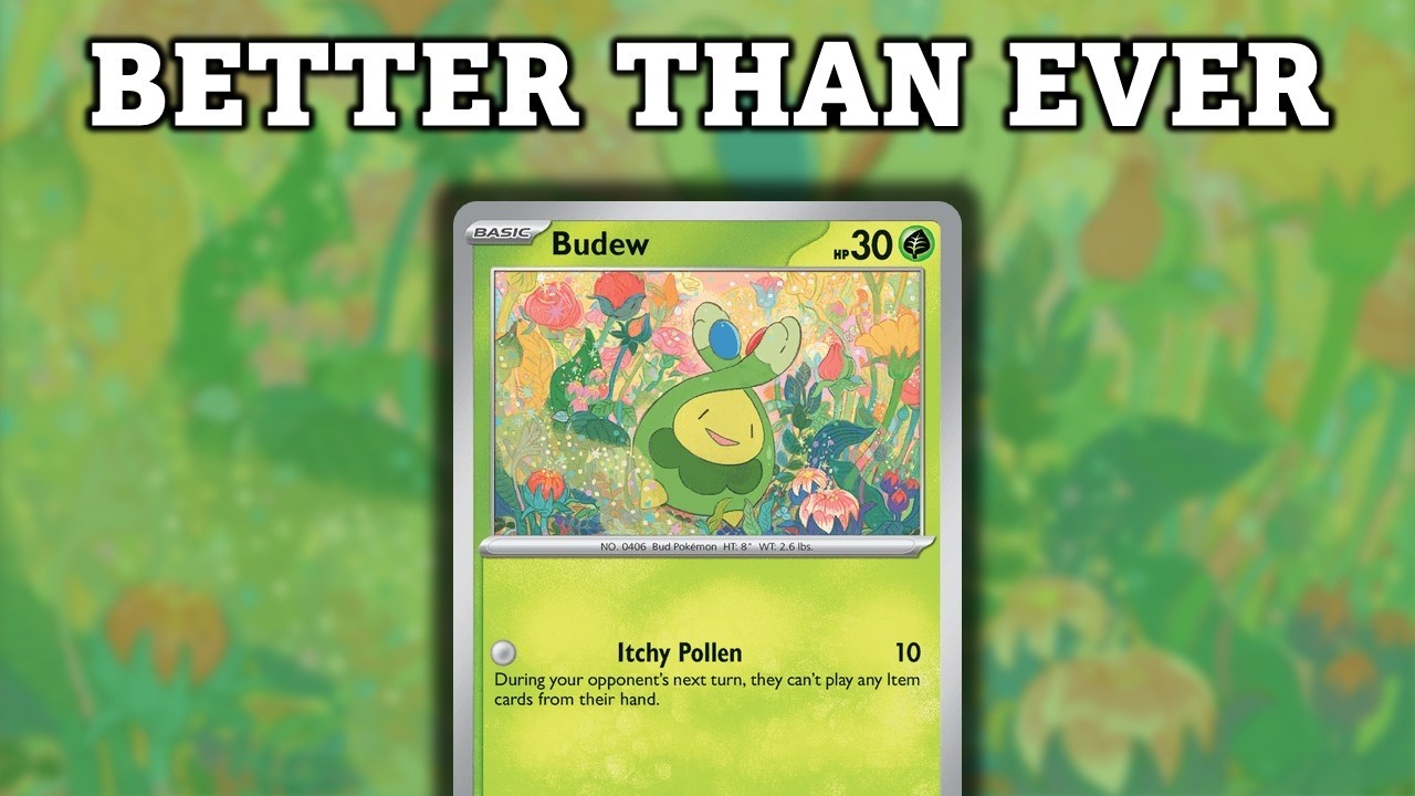 Budew Is Getting Even Better With Rotation
