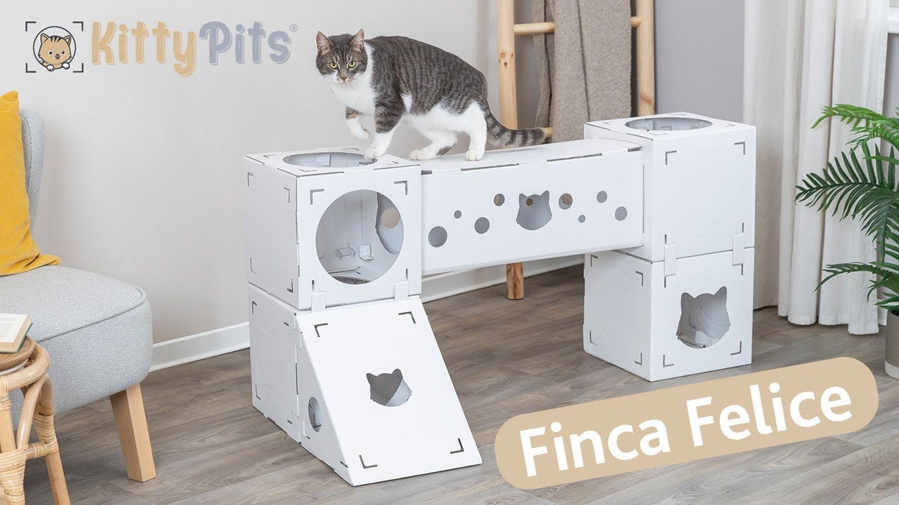 Instructions de montage Finca Felice - Paysage en carton pour chats de KittyPits et TRIXIE
