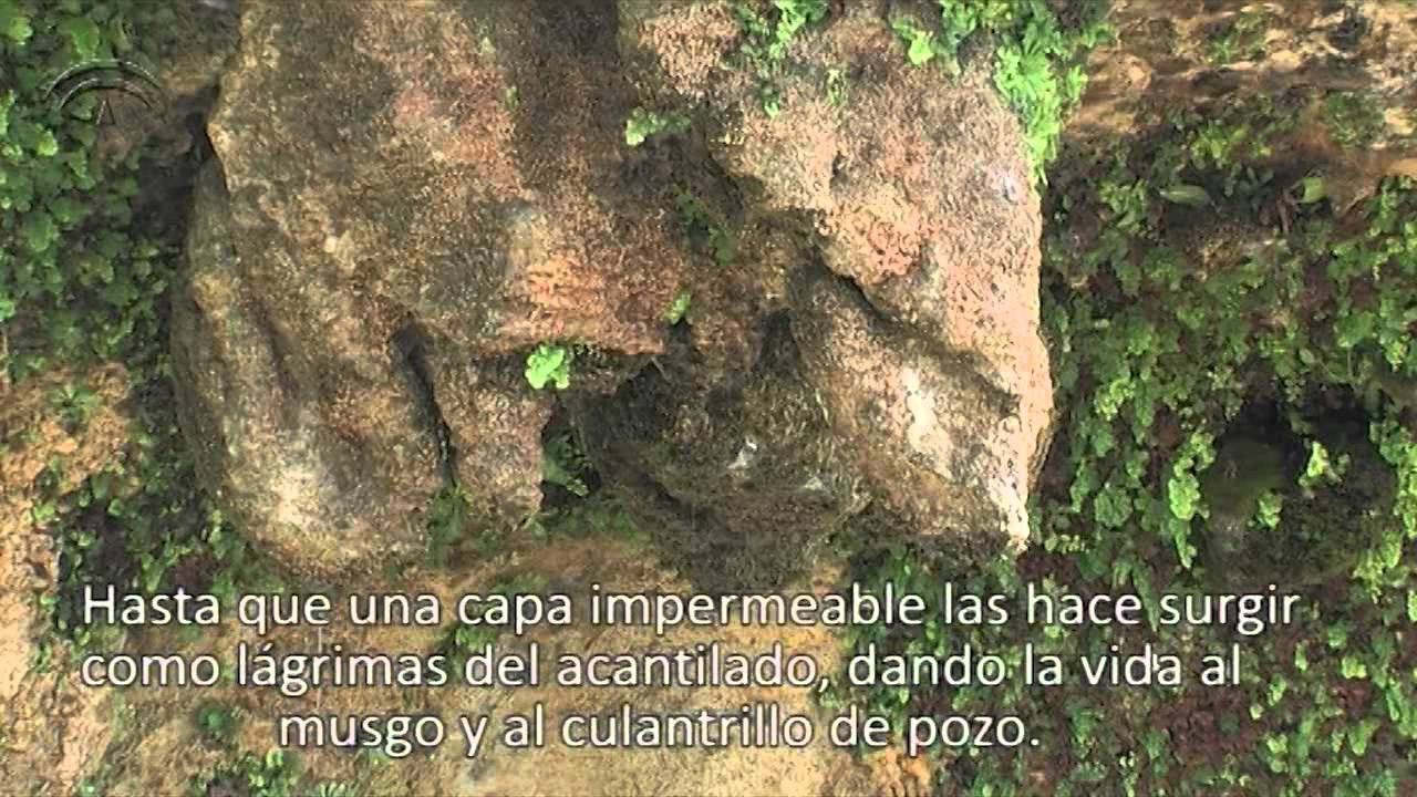Parque Natural La Breña y Marismas del Barbate. Un soplo de aire.
