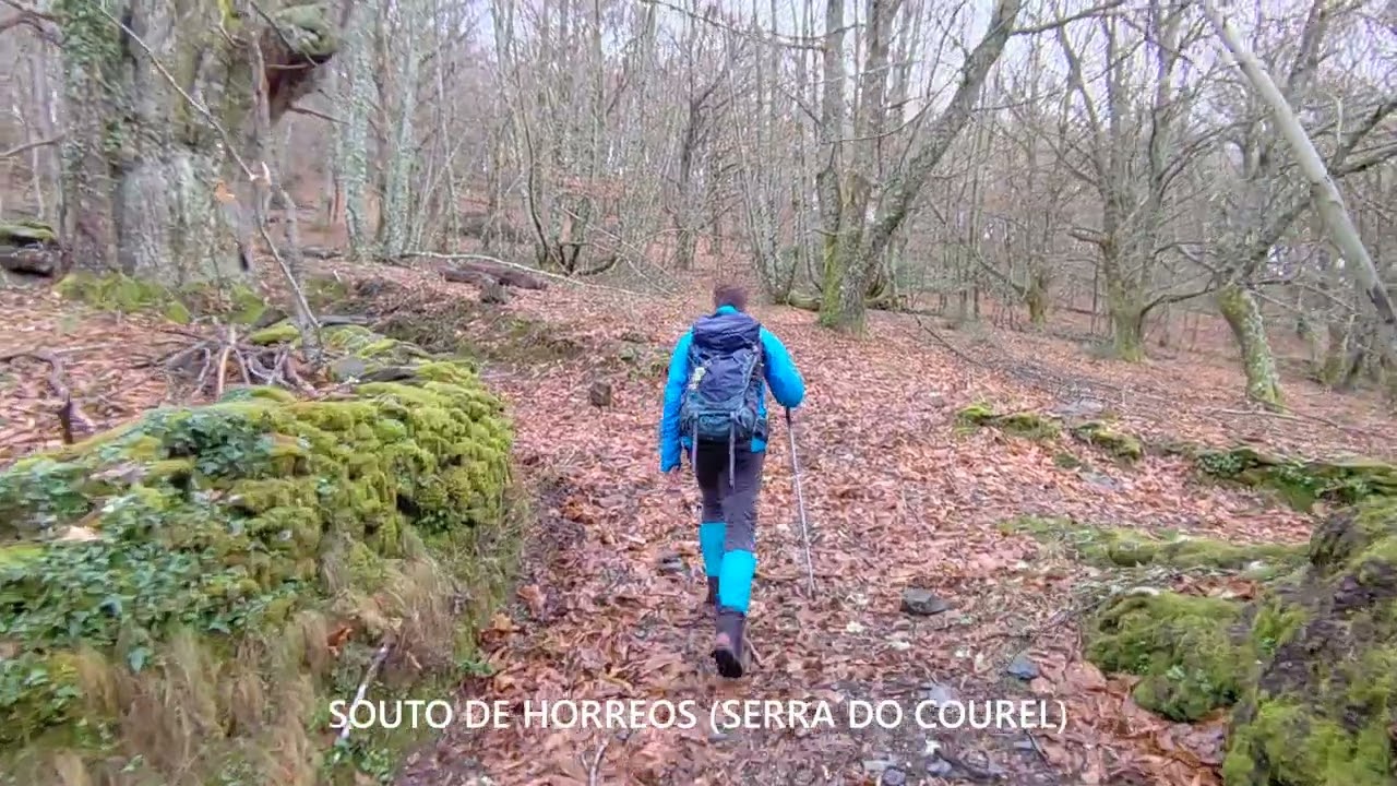 SOUTO DE HÓRREOS (FOLGOSO-SERRA DO COUREL)