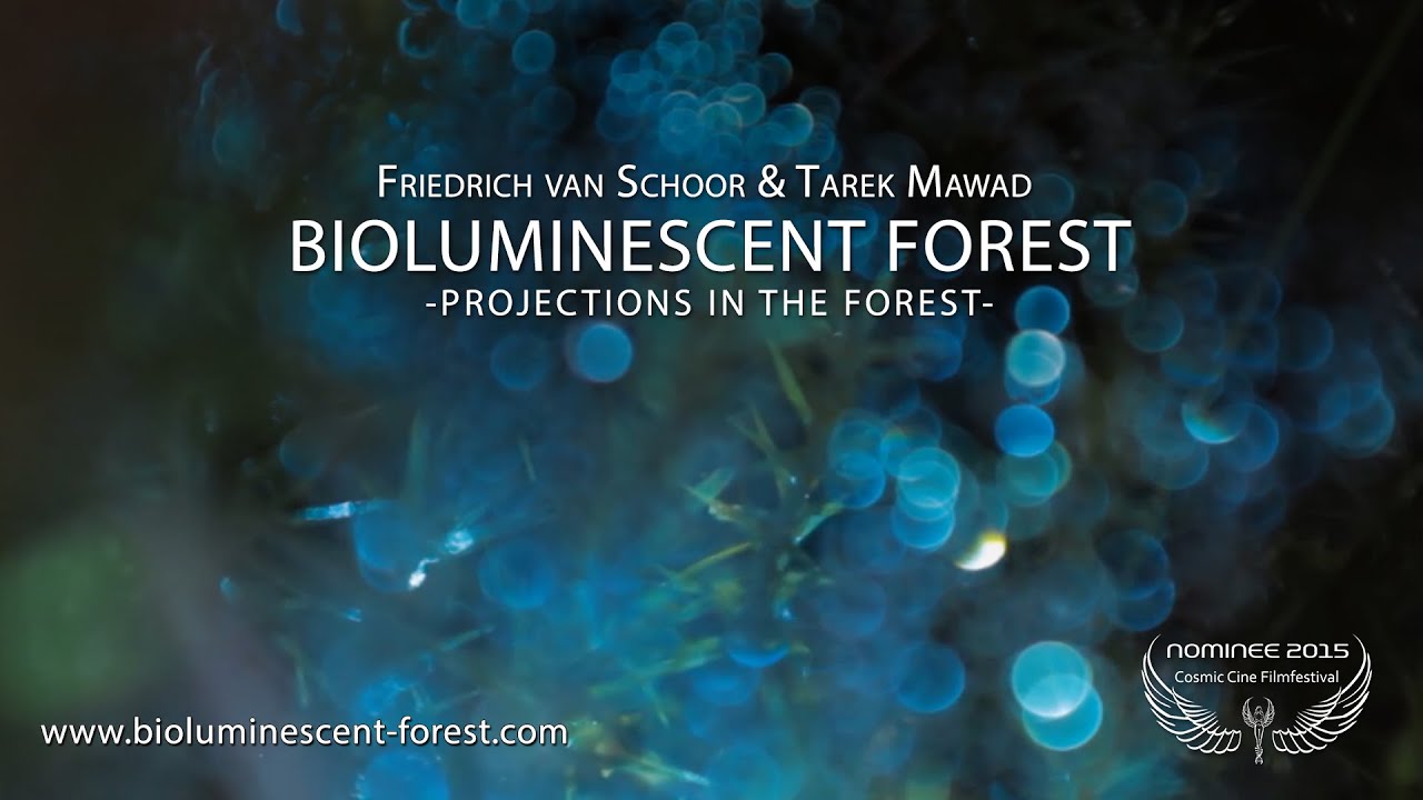 BIOLUMINESCENT FOREST – PROJECTIONS IN THE FOREST - Short Film Nominee Cosmic Cine Filmfestival 2015