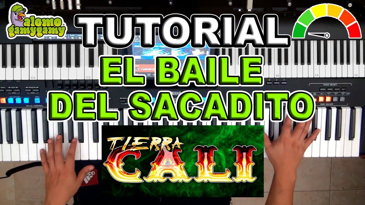 El Baile del Sacadito: Tierra Cali / Tutorial: Figuras y Acordes