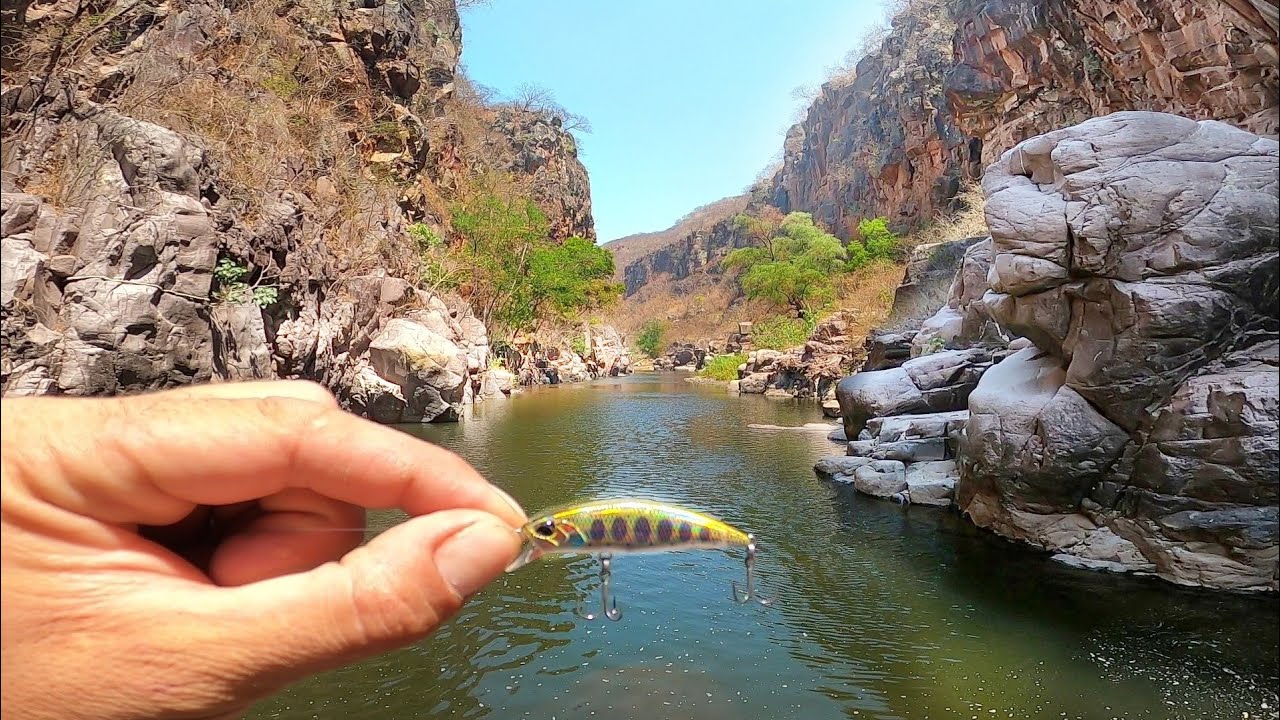 El secreto era este Señuelo!!! Pesca en Río INEXPLORADO
