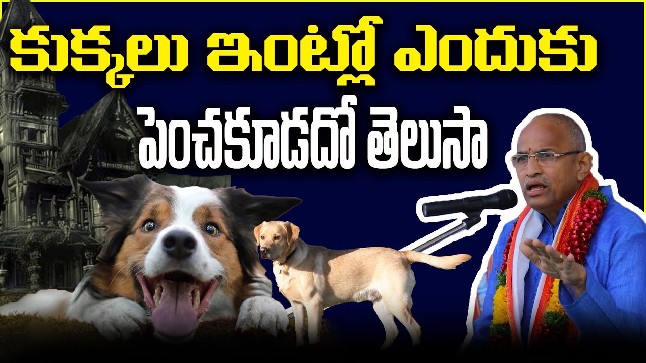 కుక్కలను ఇంట్లోకి ఎందుకు రానివ్వకుడదో తెలుసా?|| Chaganti Pravachanalu || SriOmBhadrakaliTv