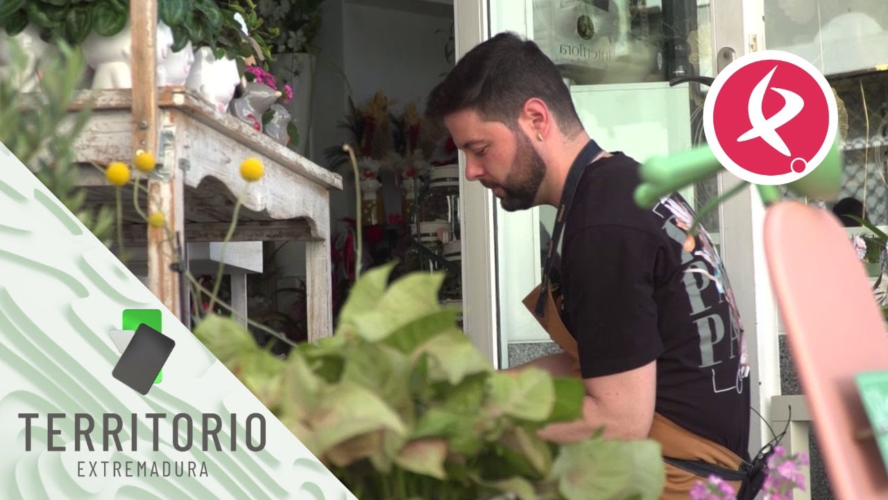 El mejor artesano florista de España está en Guareña | Territorio Extremadura