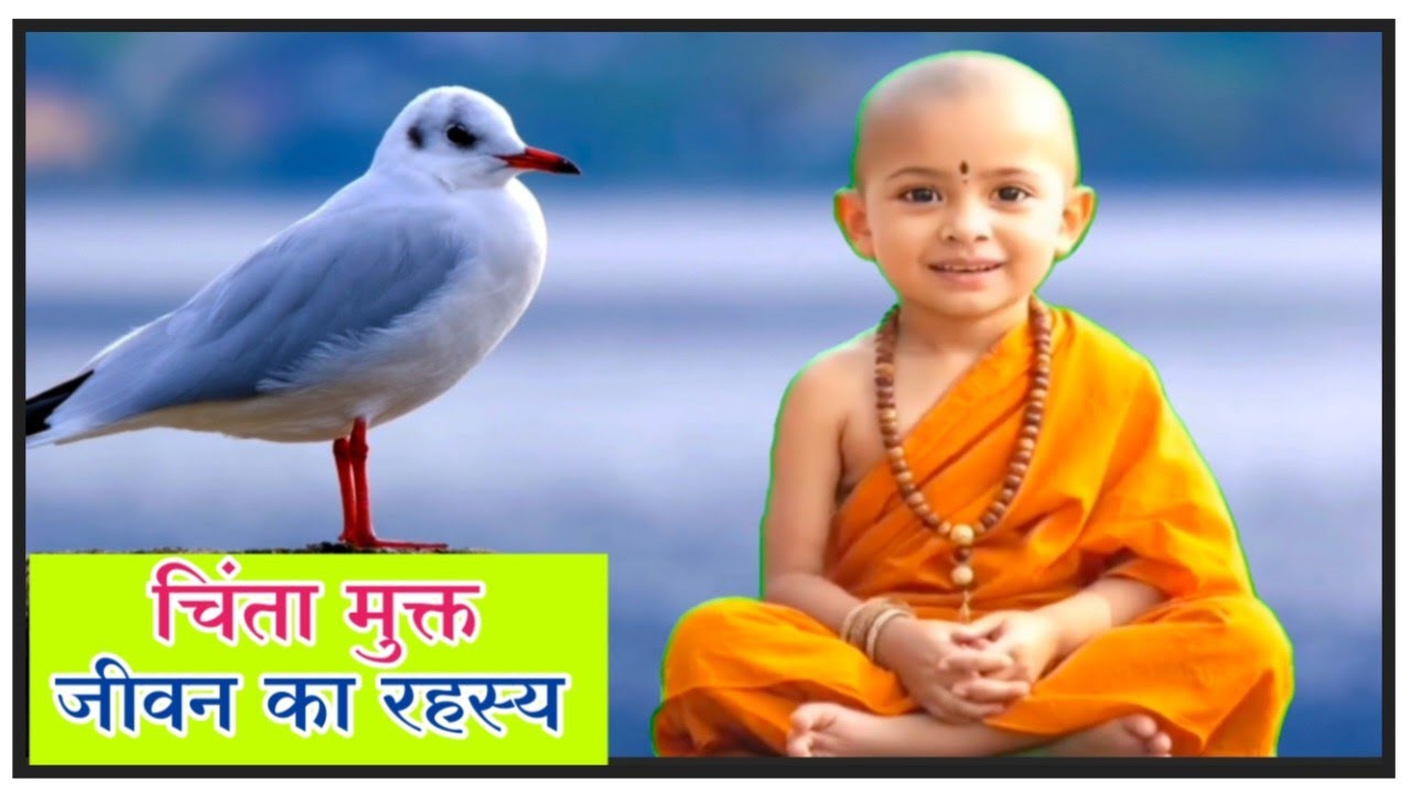 चिंता मुक्त जीवन का रहस्य  | राजा और महात्मा की प्रेरक कथा | Baal Mahatma Ji Satsang