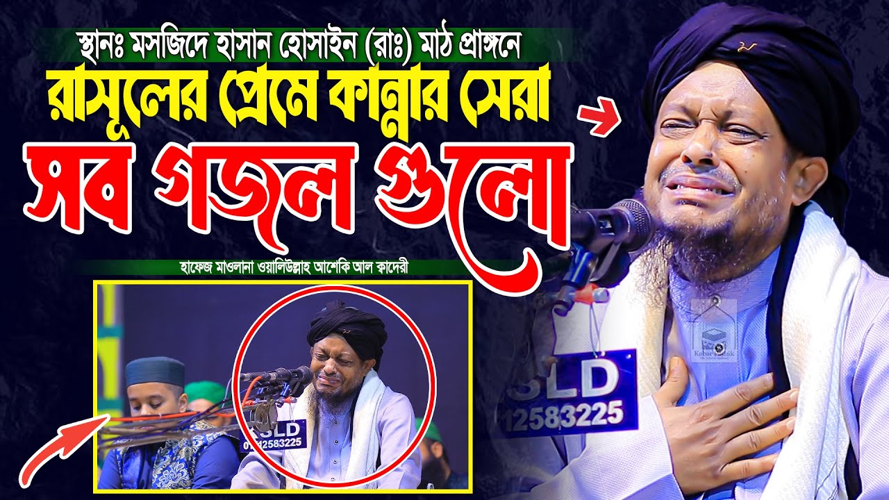 রাসূলের প্রেমে কান্নার সেরা সব গজল গুলো | waliullah asheki new gojol 2026 | নতুন গজল ২০২৬