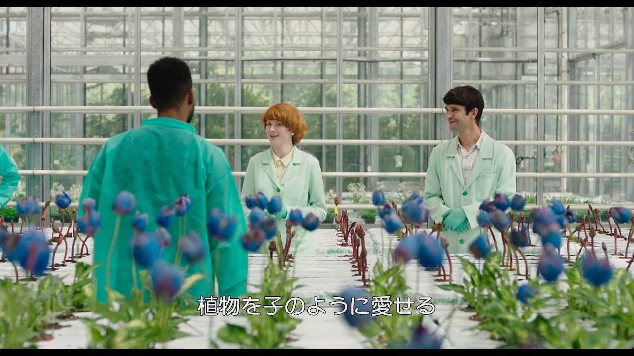 禁断の植物がもたらす新感覚スリラー！映画『リトル・ジョー』冒頭本編映像