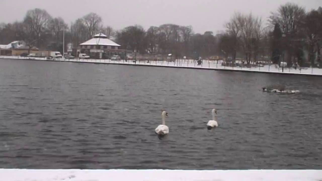 Platt Fields on a Snowy Day