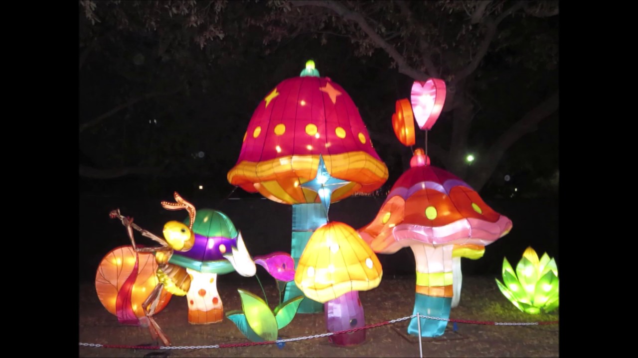 Chinese Lantern Festival Photos
