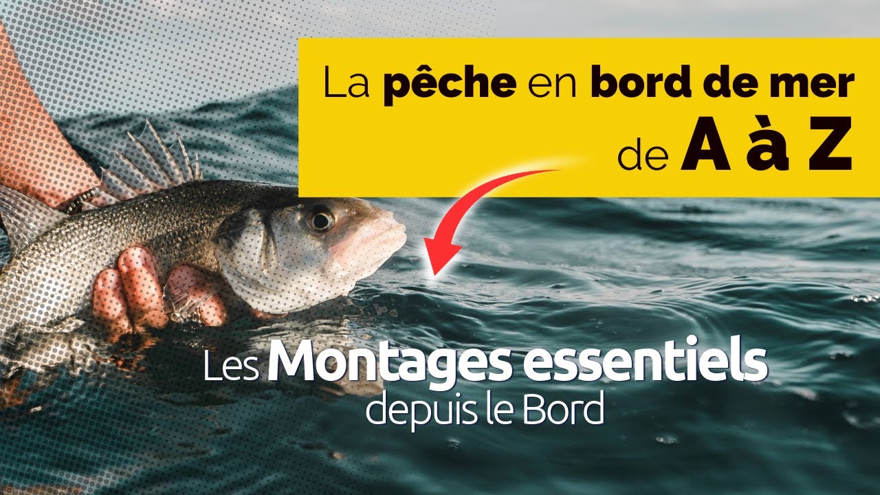 Pêche en mer de A à Z - 8 (5 montages simples pour réussir depuis le bord)