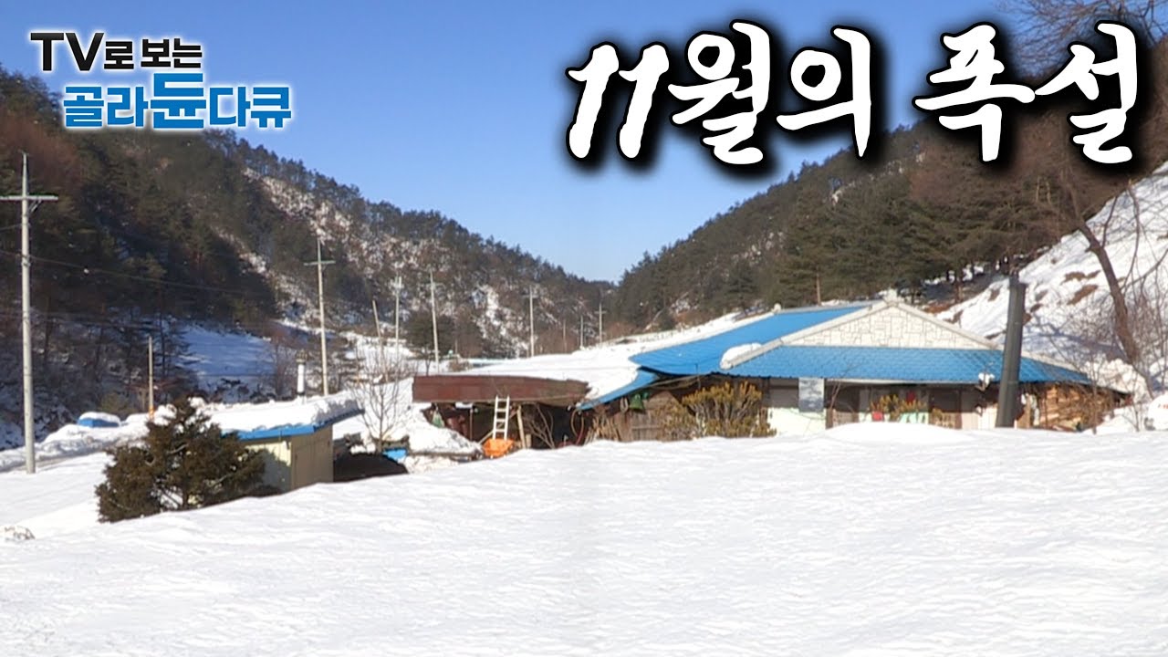11월부터 쌓이는 눈이 4월까지도 녹지 않는다는 국내 최고 강설량 마을 모음｜#골라듄다큐