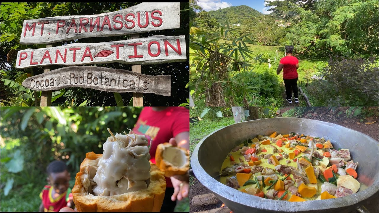 Mt.Parnassus Plantation Grenada 2026 | A unique and rejuvenating experience | Farm to Table