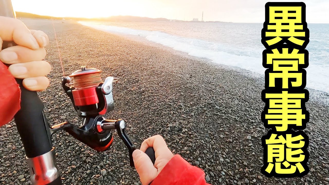 【異常事態】狙った獲物のデカさに衝撃！！1日中釣りした結果が凄すぎた【ショアジギング/飲ませ釣り】