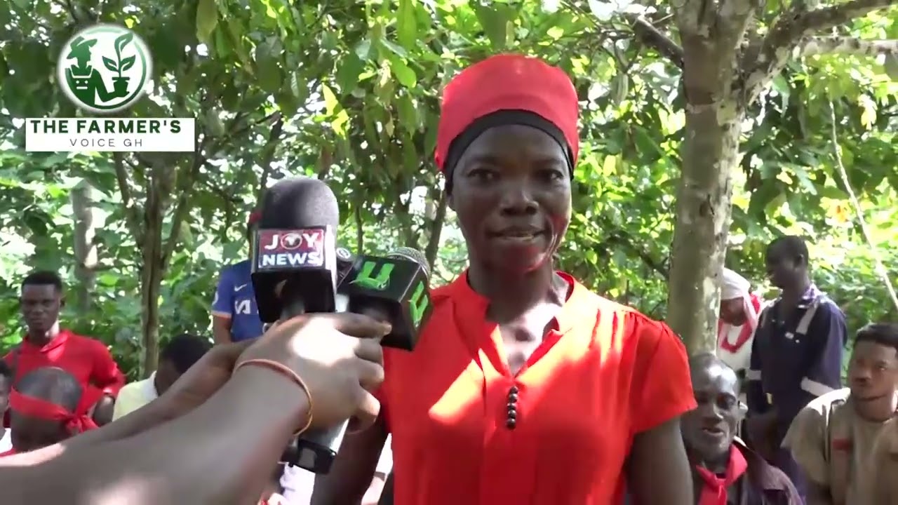 “Our eyes are now opened.Tell President Mahama to give us our money.An angry cocoa farmer speaks out