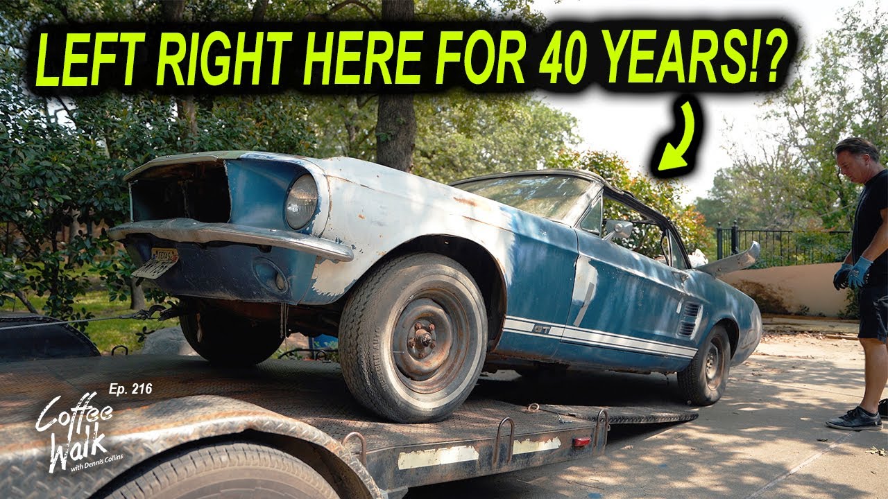 СПАСЕН: Mustang S-Code 1967 года! Припаркован здесь в 1982 году!