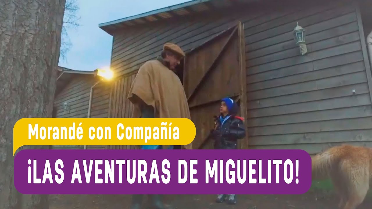 Miguelito visita el campo de Kike Morandé - Morandé con Compañía 2016
