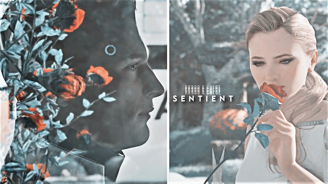 RK900 & Chloe [DBH] | Sentient