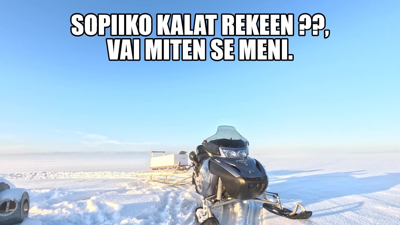 MITÄPÄ TÄLLÄ KERTAA VERKOISTA, ??