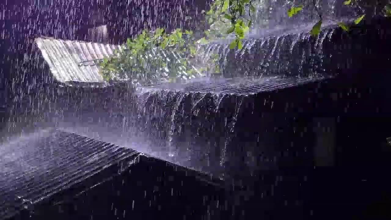 Rain on Tin Roof During the Night | Relaxing Sleep Rain Sounds