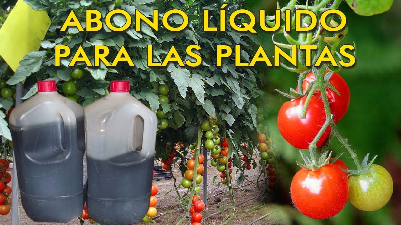 ABONO L&Iacute;QUIDO PARA TUS PLANTAS A PARTIR DE ESTIERCOL