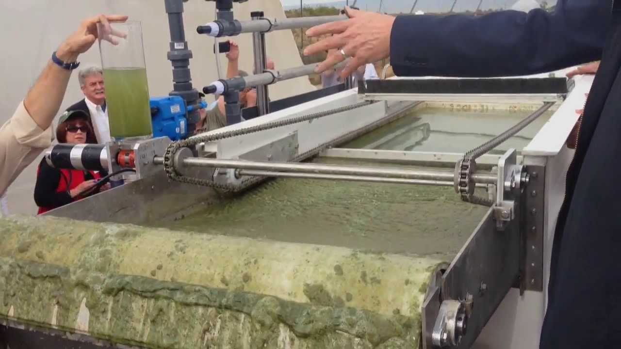 EWS Algae A60: High-Speed, Chemical-Free Algae Harvesting