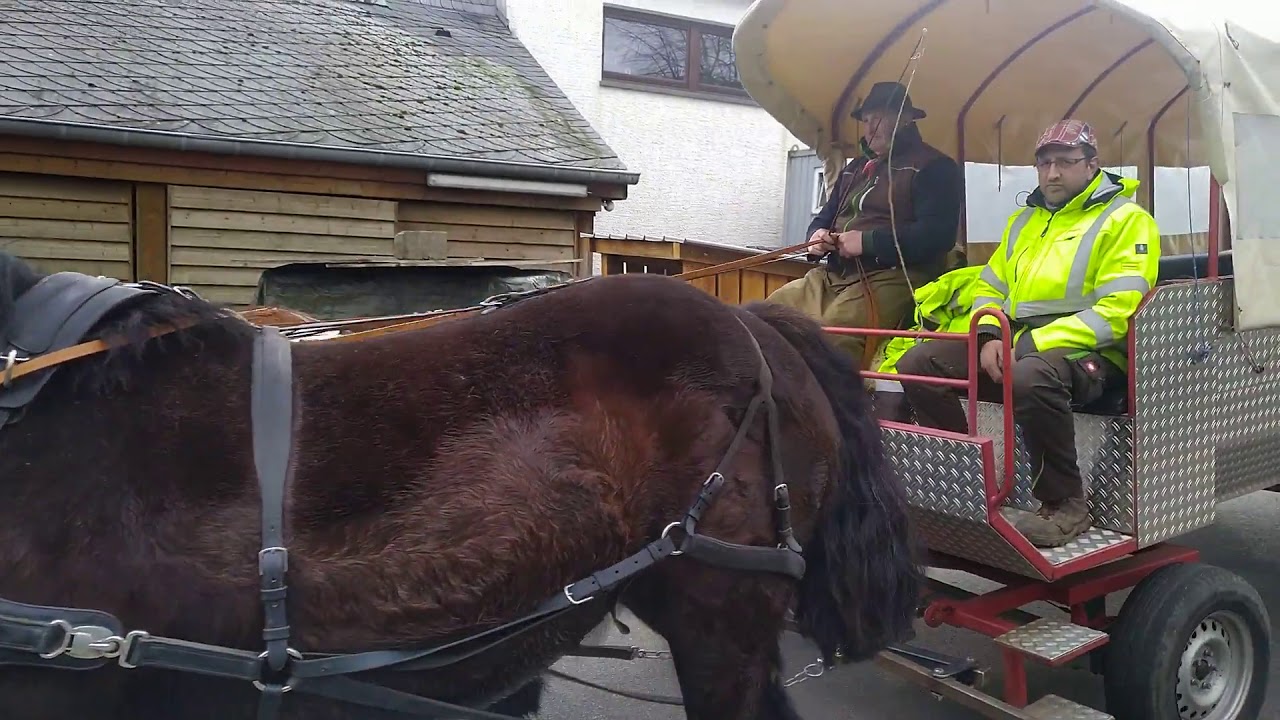 Kutsche im Dreisp&auml;nner ziehen Test