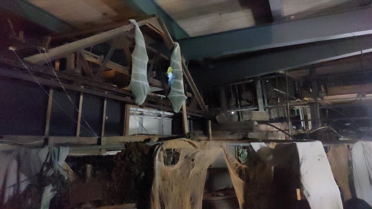 Ghost Train & River Caves Hidden Tunnel. Behind the Scenes Tour. Pleasure Beach Resort. March 2025.