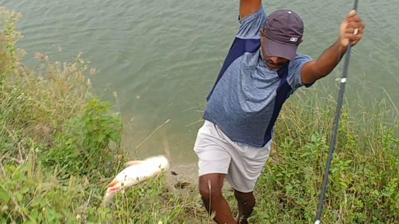 Best 6 Hook fishing Technique|Fisherman Catching The Fishes To Small hooks|Unique Rohu fishing