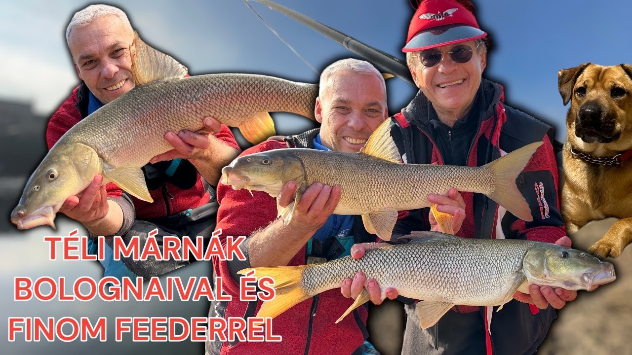 TÉLI MÁRNÁK BOLOGNAIVAL ÉS FINOM FEEDERREL