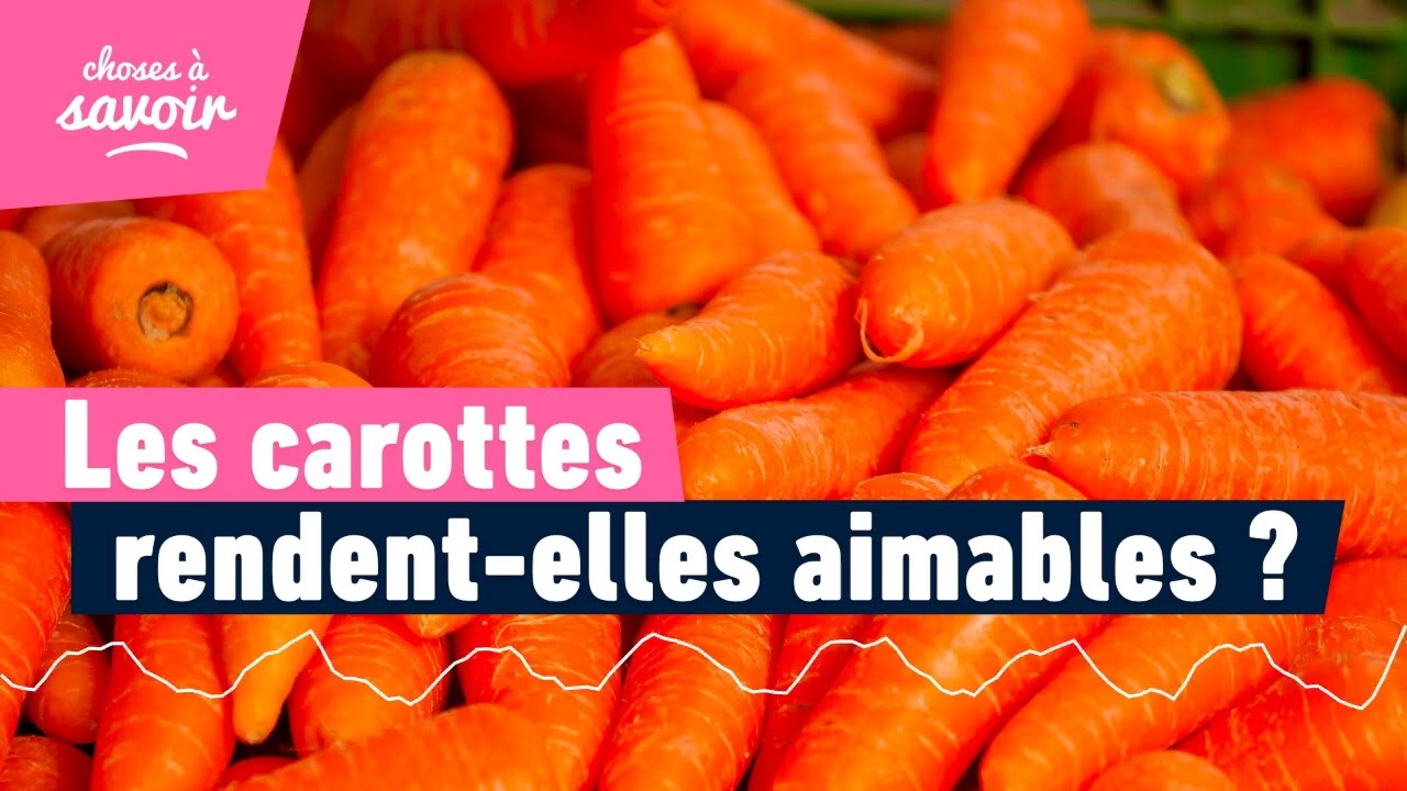 Pourquoi les carottes ont-elles la réputation de rendre aimable ?