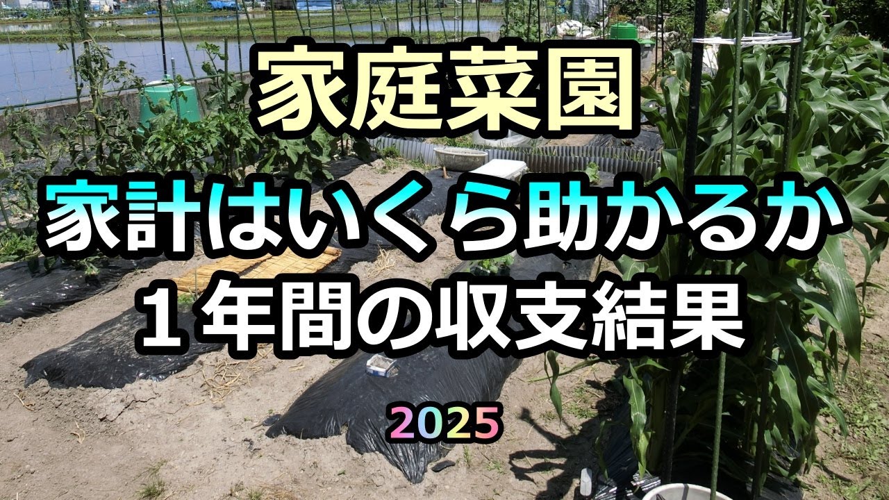 【１年間作った野菜 買ったらHow much？2025 】異常気象でどうなったか？ 家庭菜園32年目 半自給自足