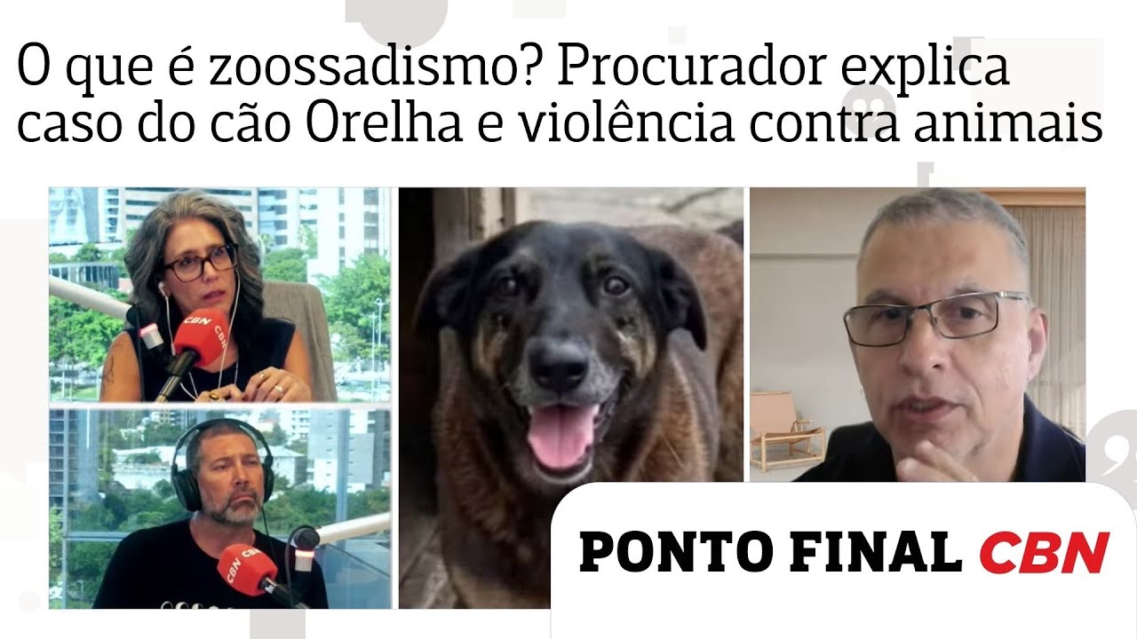 O que é zoossadismo? Procurador explica à CBN o caso do cão Orelha e violência contra animais