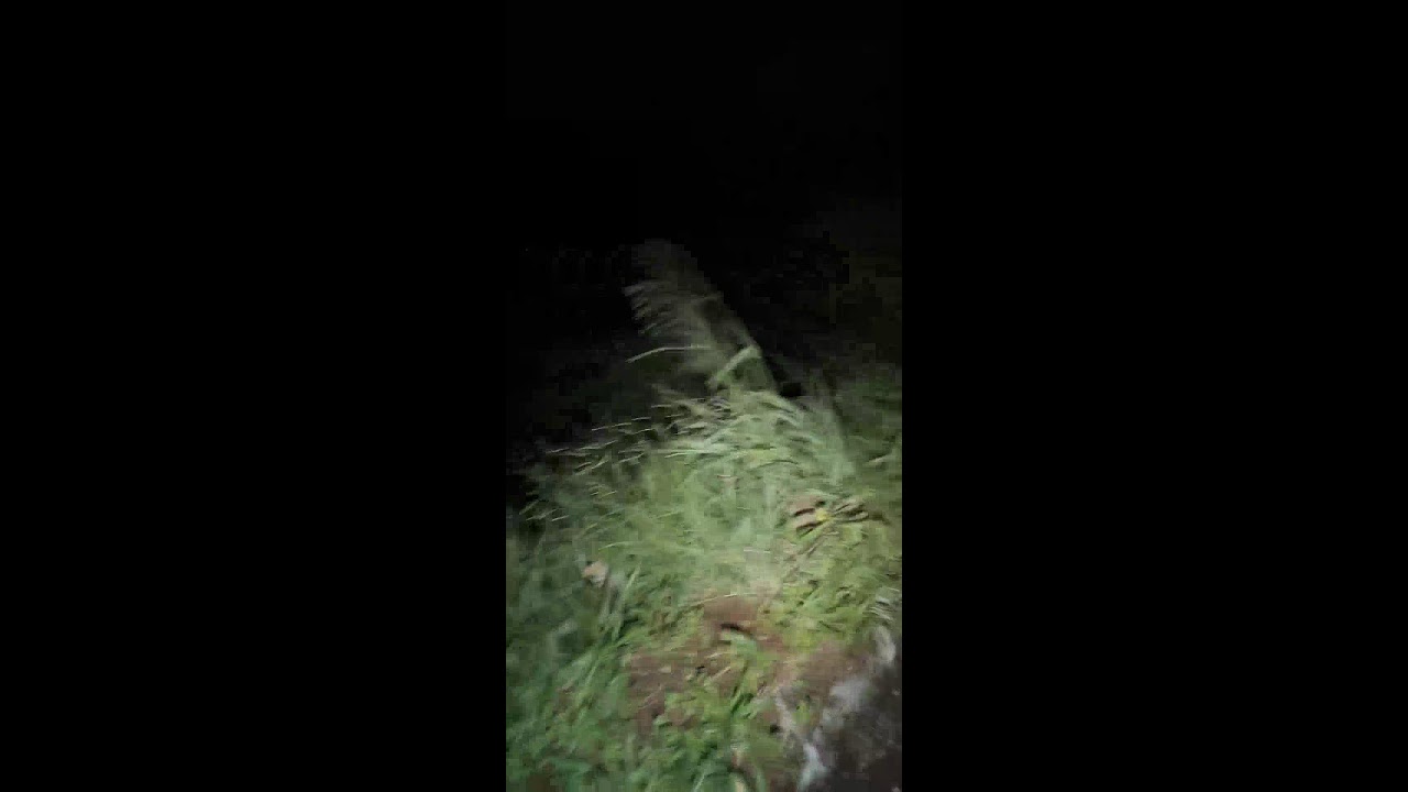 Live Penampakan , #Horror, #MIsteri,
