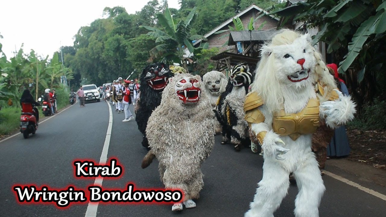 LIVE KIRAB CAN MACANAN BA LAKEK HAMDIANS DI WRINGIN BONDOWOSO