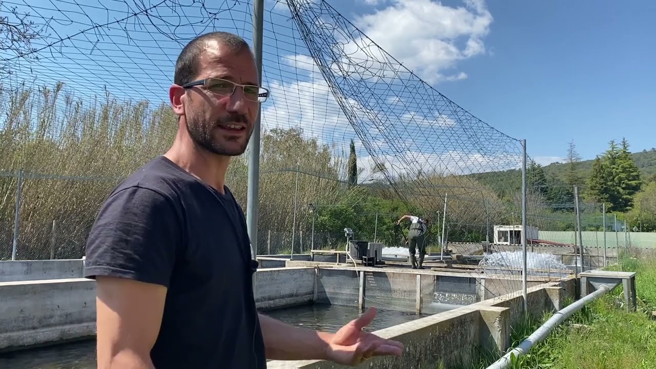 Episode 1 : Reportage La Pisciculture - Les Truites  Paradou