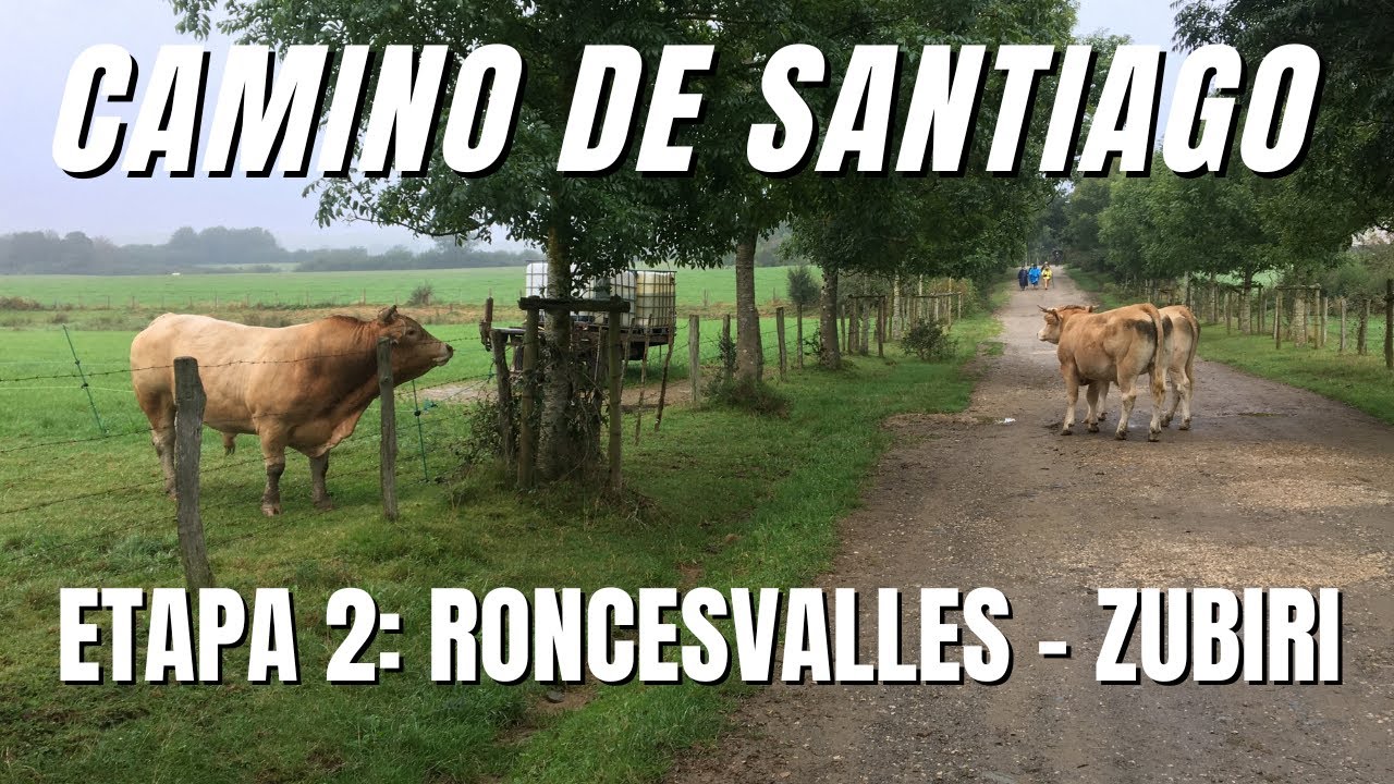CAMINO DE SANTIAGO | ETAPA 2:  RONCESVALLES  - ZUBIRI
