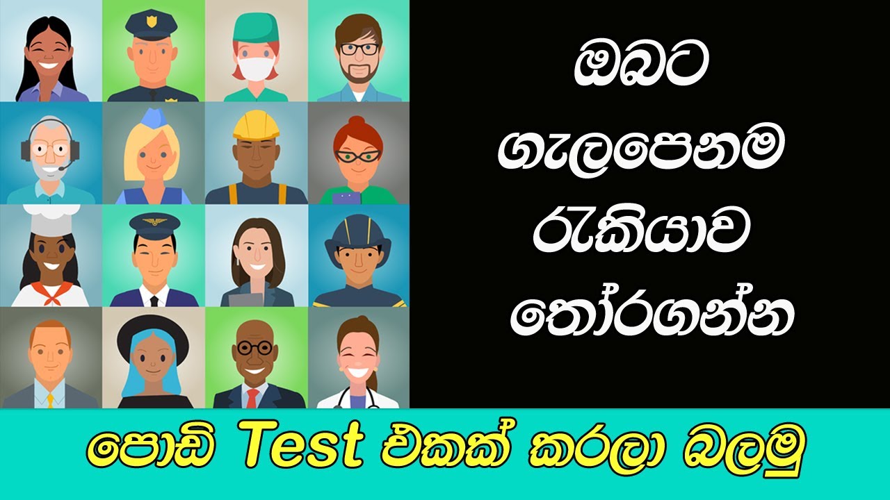 ඔබට හරියනම රැකියාව හොයමුද | Find Your JOB Personality Test Sinhala