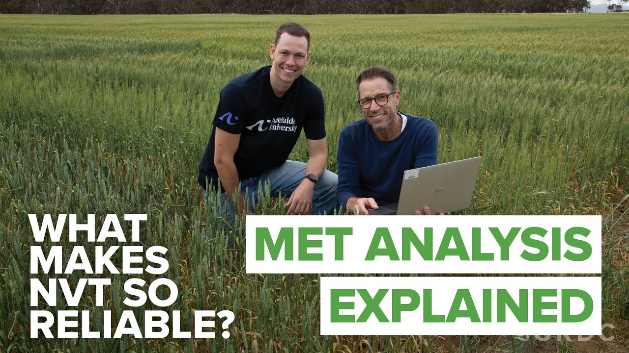 What makes NVT so reliable? MET Analysis explained