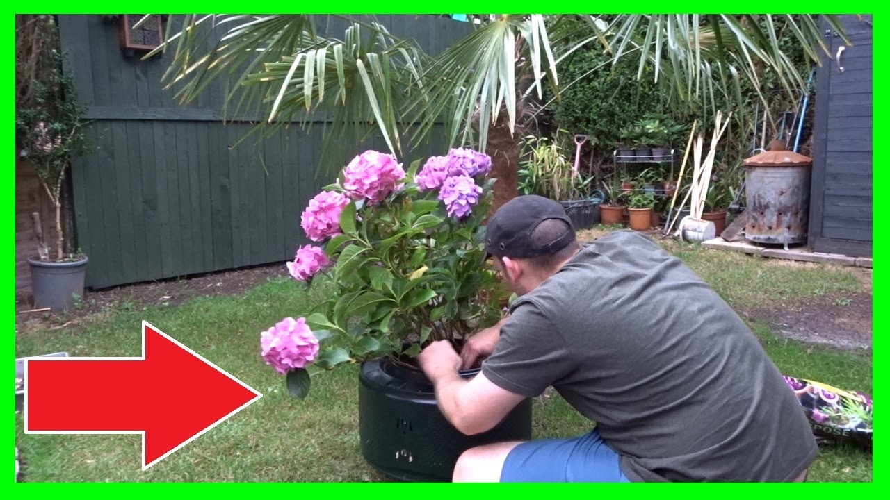Turning a Washing Machine Drum into a Garden Planter