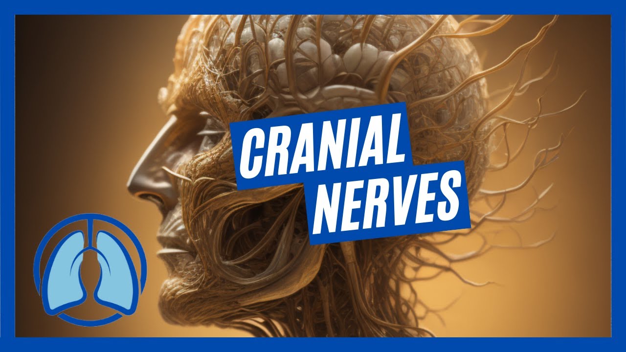 Cranial Nerves & Assessment