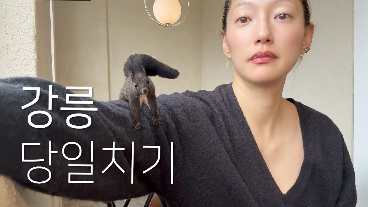 이거슨..으른의 강릉 당일치기다! 이엘코스 따라 오시라구요!