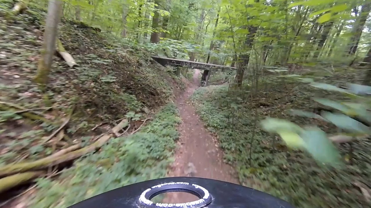 Flowtrail Göttingen | Bismarckturm | Enduro | uncut