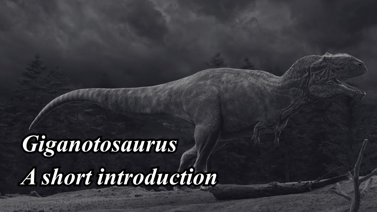 Giganotosaurus: A Short Introduction (Narrated by @GEK0dev)