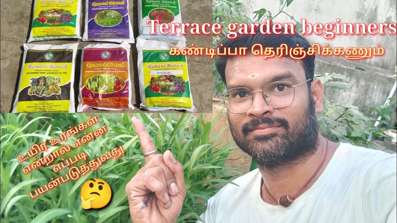 உயிர் உரங்கள் என்றால் என்ன? எப்படி பயன்படுத்துவது? ஏற்படும் நன்மைகள் என்ன? bio fertilizer benefits