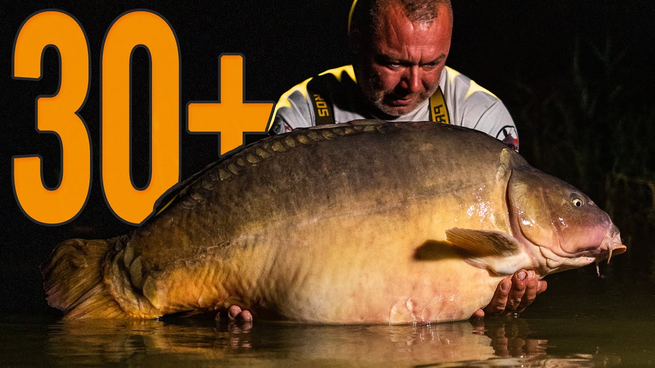 Karp 30+ z Pelagicevo z Bookingfish!