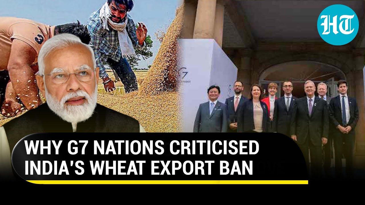 'Will worsen crisis': Why India's wheat export ban move has irked G7 nations